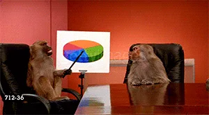 Monkeys around a boardroom table pointing at a pie chart
