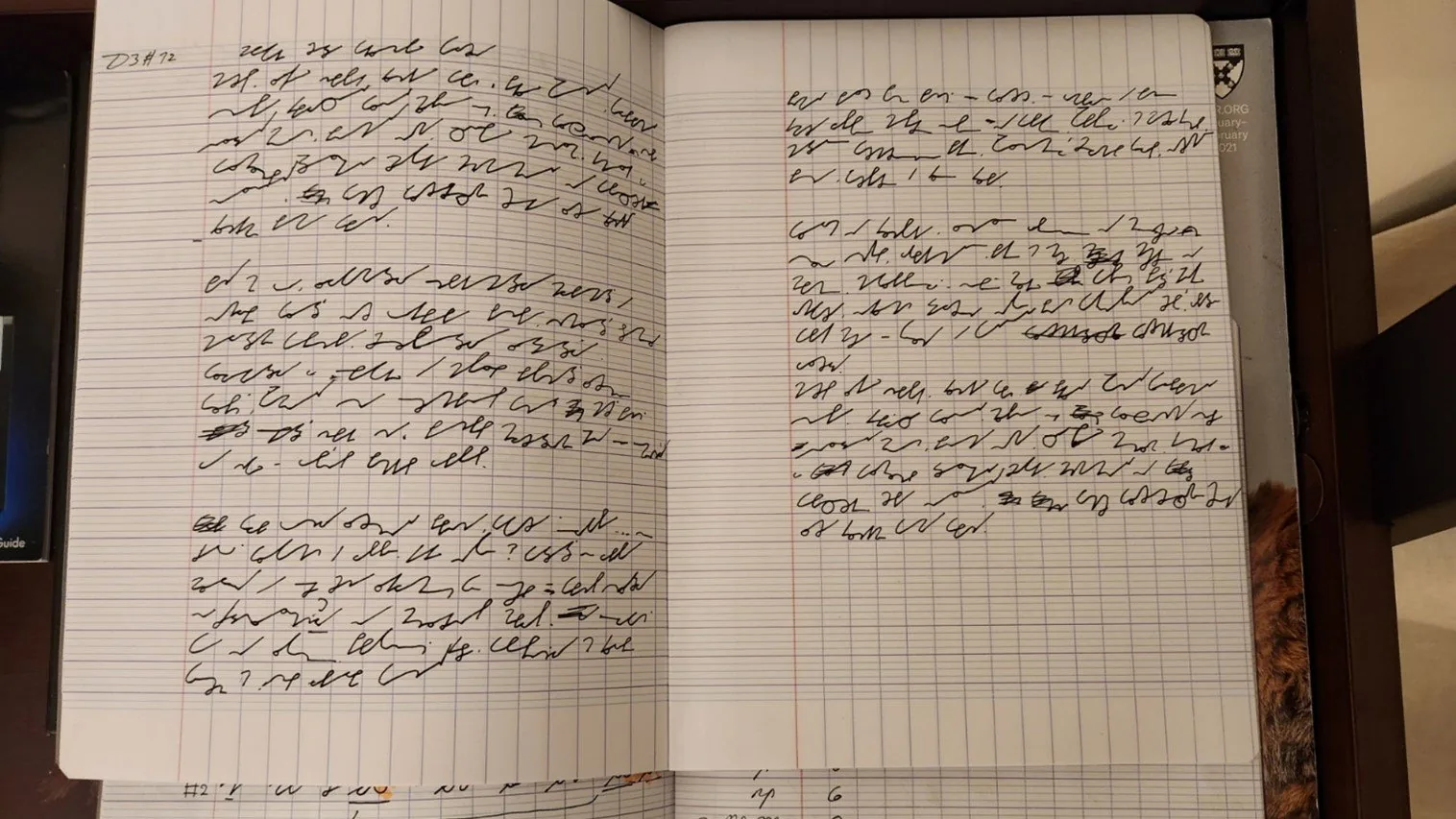 Open grid notebook filled with shorthand: dense lines of stenographic strokes instead of ordinary words