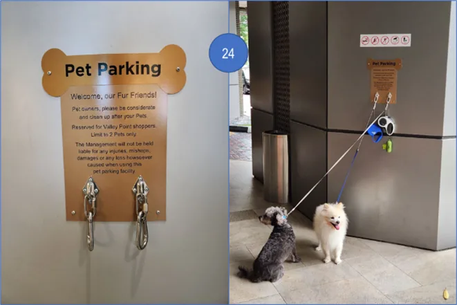Ever thought about leaving your pet outside when going for shopping, but weren’t sure of whether it is appropriate?