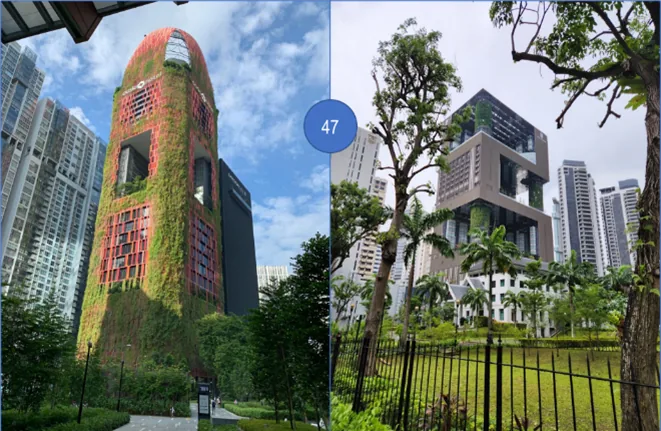 Futuristic-looking buildings with plenty of green are common to see.