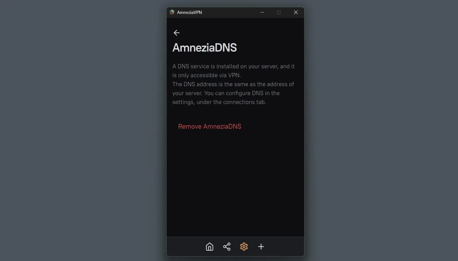 AmneziaVPN settings screen for AmneziaDNS: note that the DNS service runs on your own server and is reachable only over the VPN, plus a red Remove AmneziaDNS link