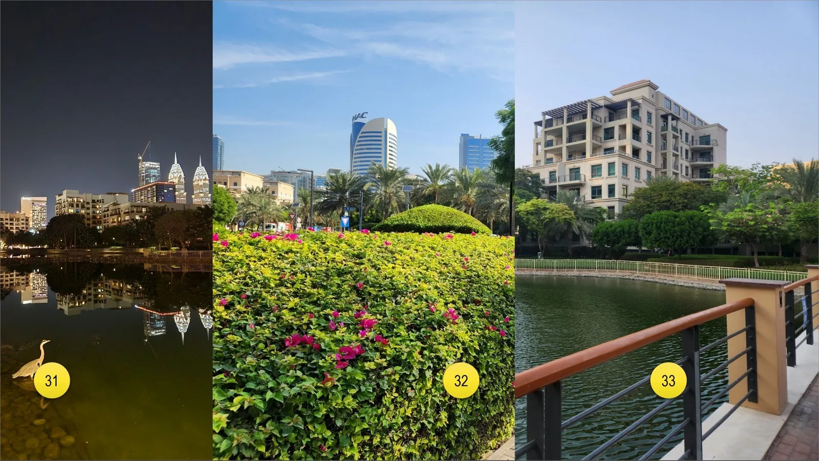 There are areas that full greenery, trees and bushes.