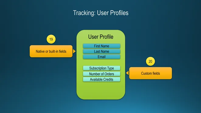 Slide Tracking: User Profiles. A user profile block with native fields first name, last name, email and custom fields subscription type, number of orders, available credits